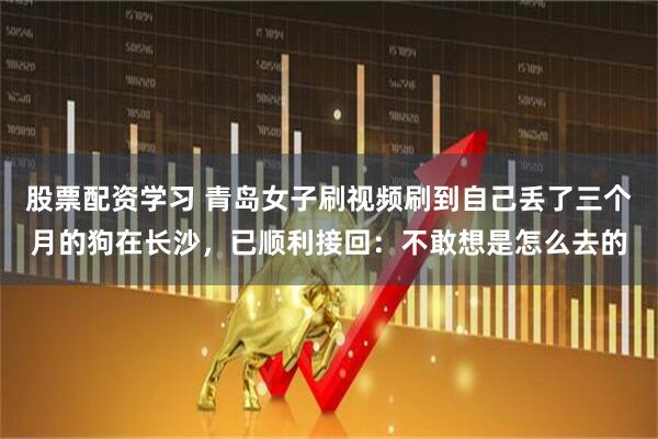 股票配资学习 青岛女子刷视频刷到自己丢了三个月的狗在长沙，已顺利接回：不敢想是怎么去的